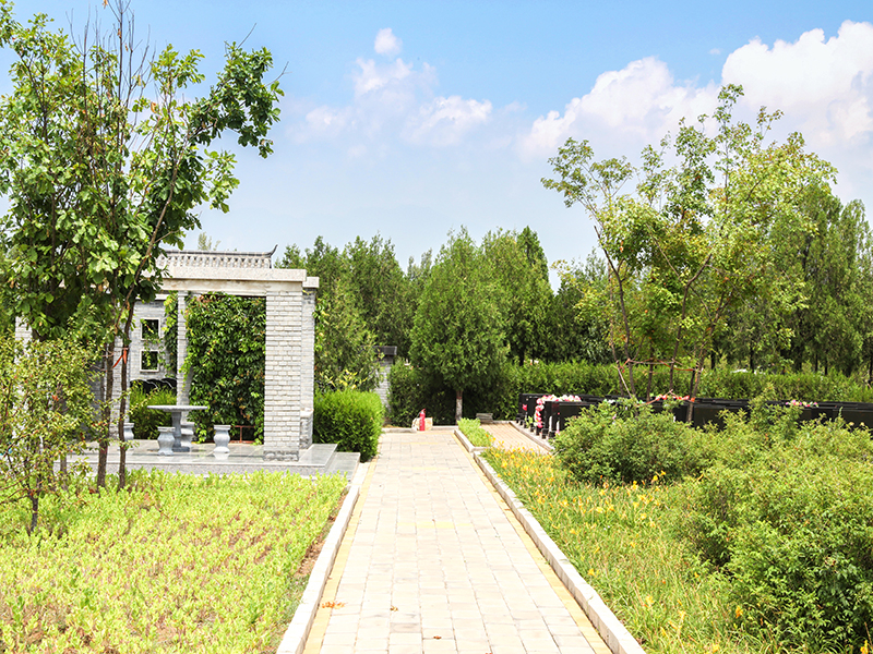 金山陵园在哪（金山陵园好不好）