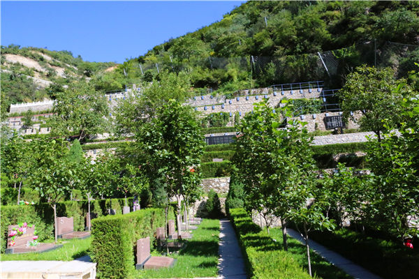 金山陵园公墓电话是什么(金山陵园环境怎么样)